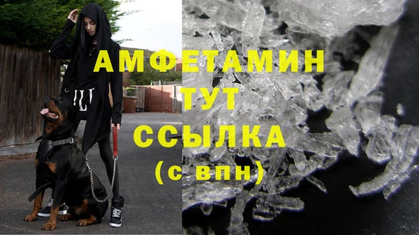 стафф Алзамай
