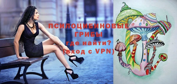 не бодяженный Алексин