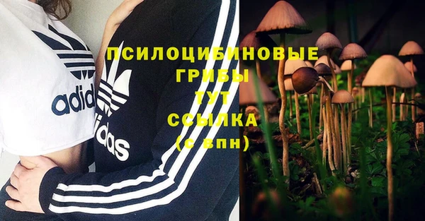 гашишное масло Алексеевка